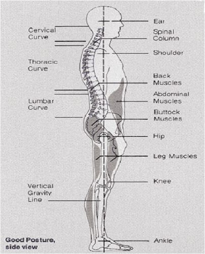 Correct Posture Proactive Physical Therapy 6583