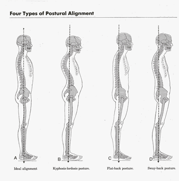 Postural Alignment