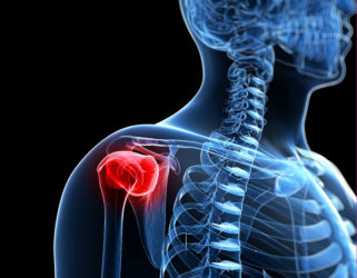 Rotator Cuff Muscles-Function | ProActive Physical Therapy