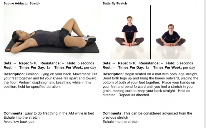 Simple Stretches While at Home | ProActive Physical Therapy