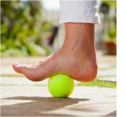 Tennis Ball | ProActive Physical Therapy